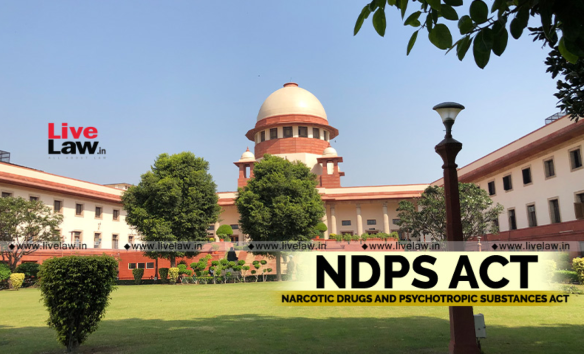 NDPS in Action: Law, Enforcement, and Human Rights